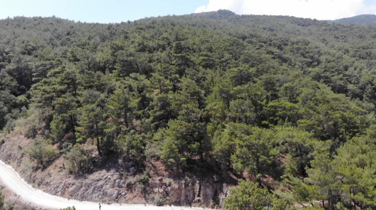 Bilecik'te ormanlık alan ve yaylalara girişler yasaklandı