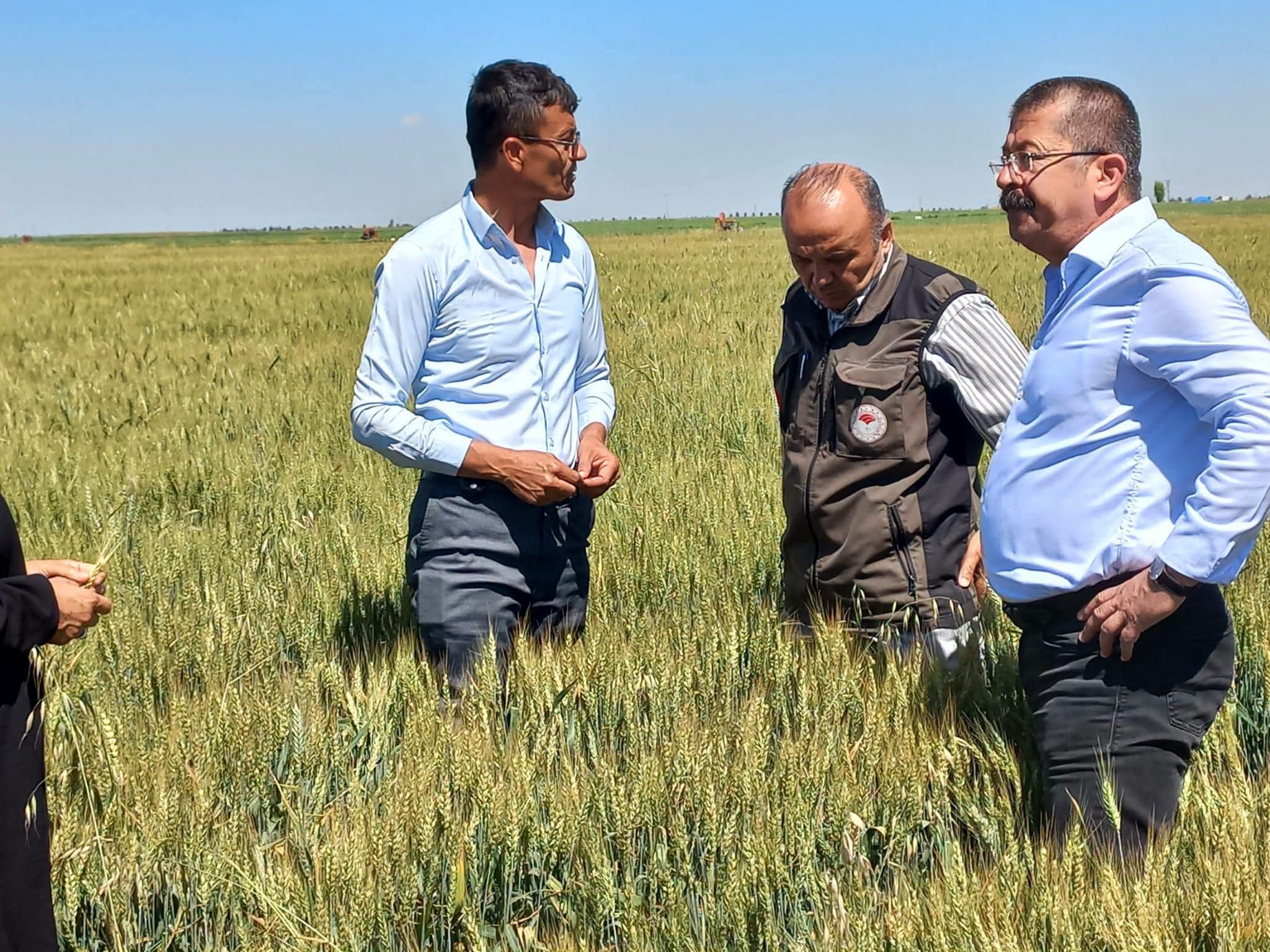 Karapınar'da dolu afetinden etkilenen alanlarda incelemelerde bulunuldu