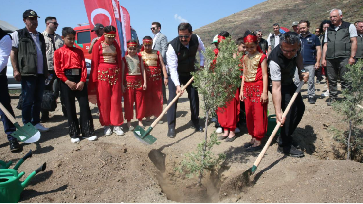 Hatay'da orman yangınında zarar gören alanlar ağaçlandırılıyor