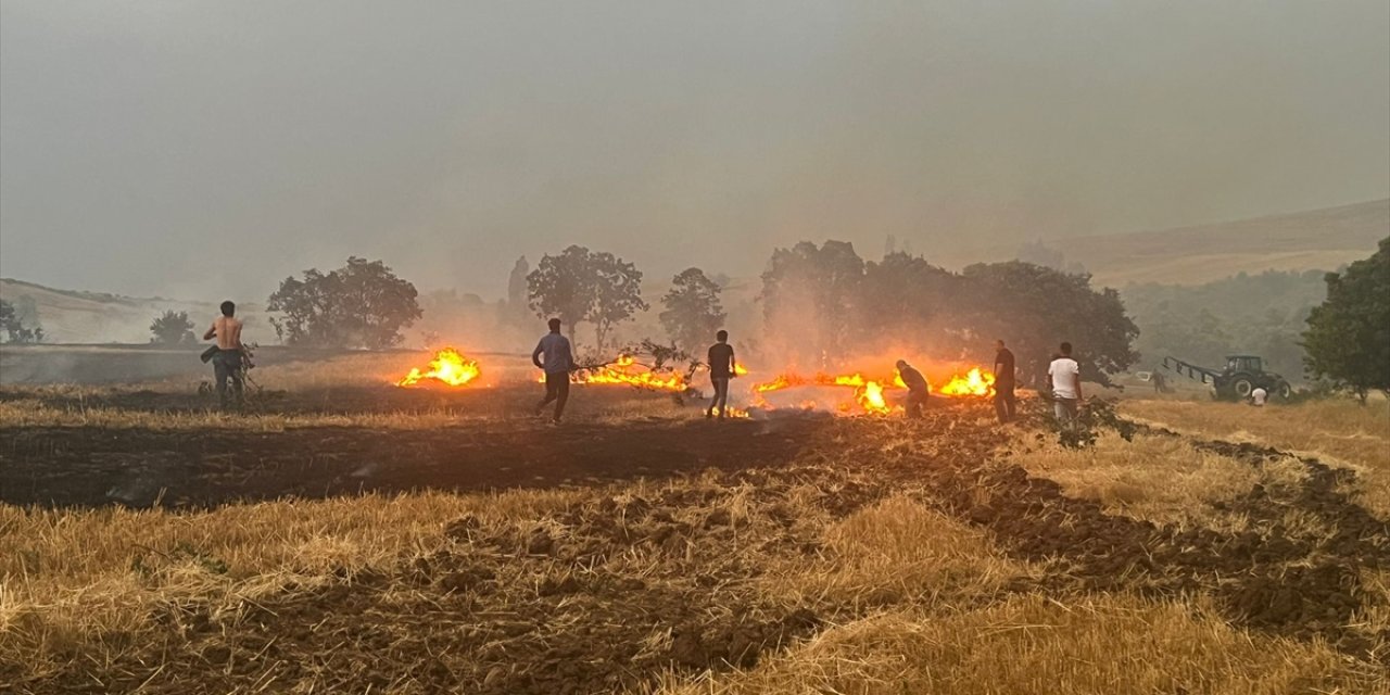 Buğday ve arpa ekili tarlada çıkan yangında 100 dekar alan zarar gördü
