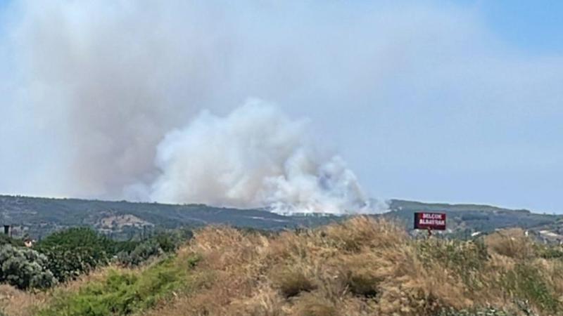 İzmir'de çöplükte çıkan yangın makilik alana sıçradı
