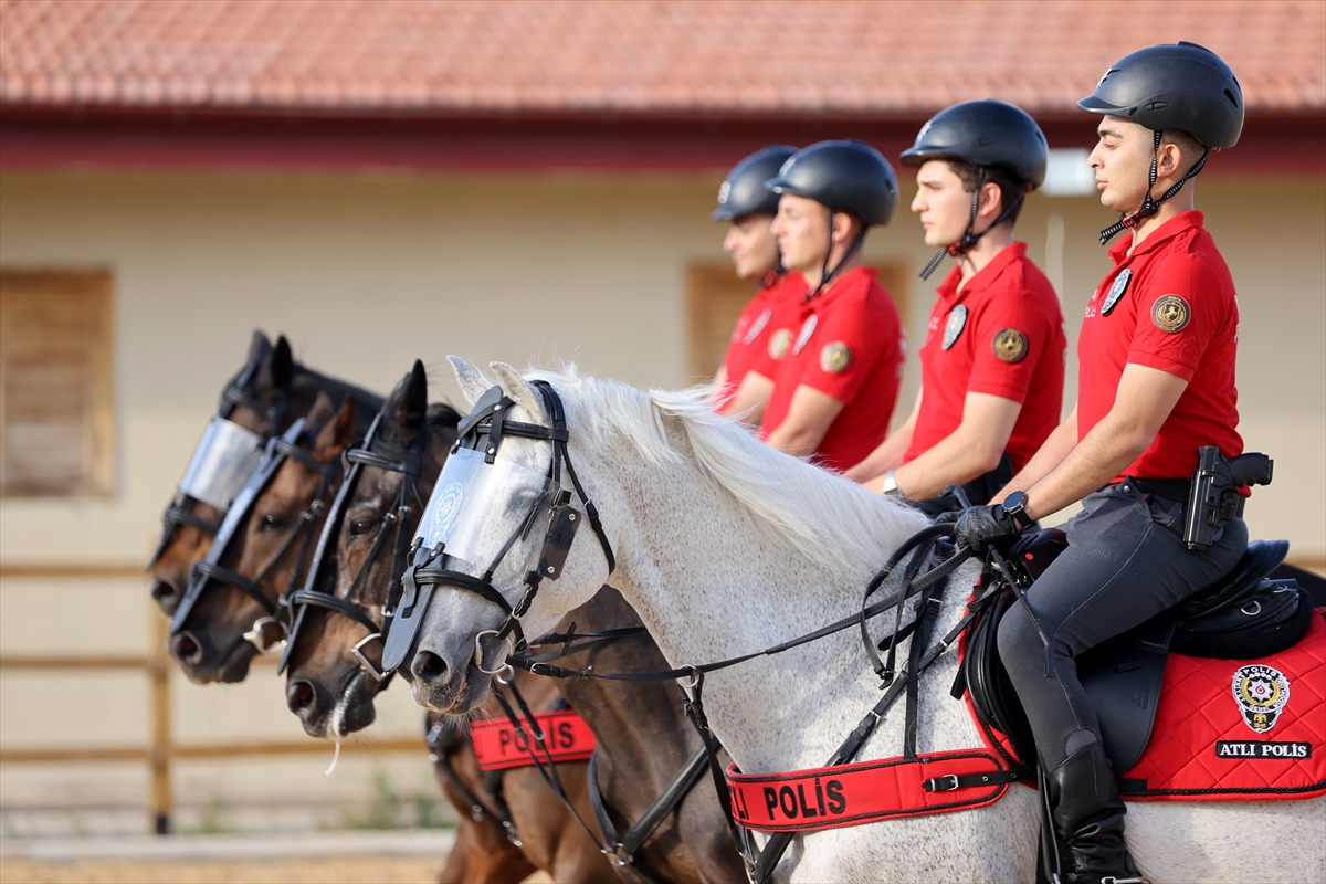 Konya'nın atlı polisleri "özel eğitimlerle" göreve hazırlanıyor