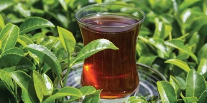 Tam yüzde 24 zam! Fiyatlar ne kadar oldu?