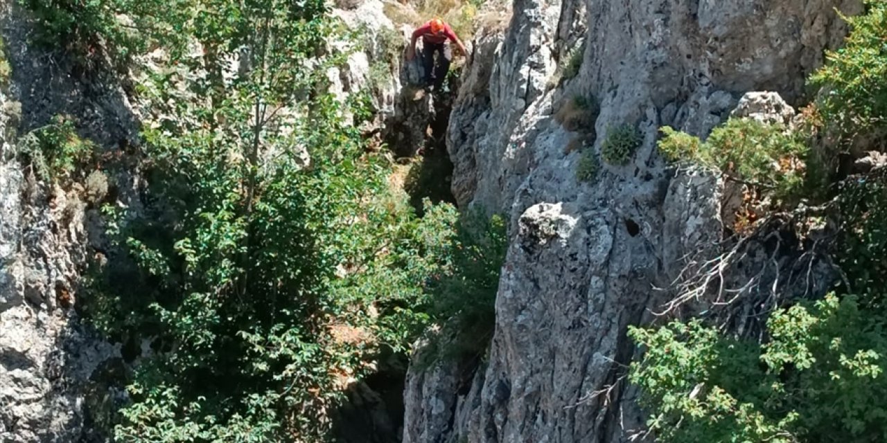 Konya'da kayalıklarda mahsur kalan keçi kurtarıldı