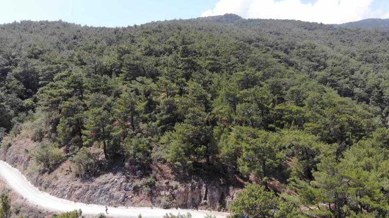Erzurum'da ormanlık alanlara girişler 30 Ekim'e kadar yasaklandı