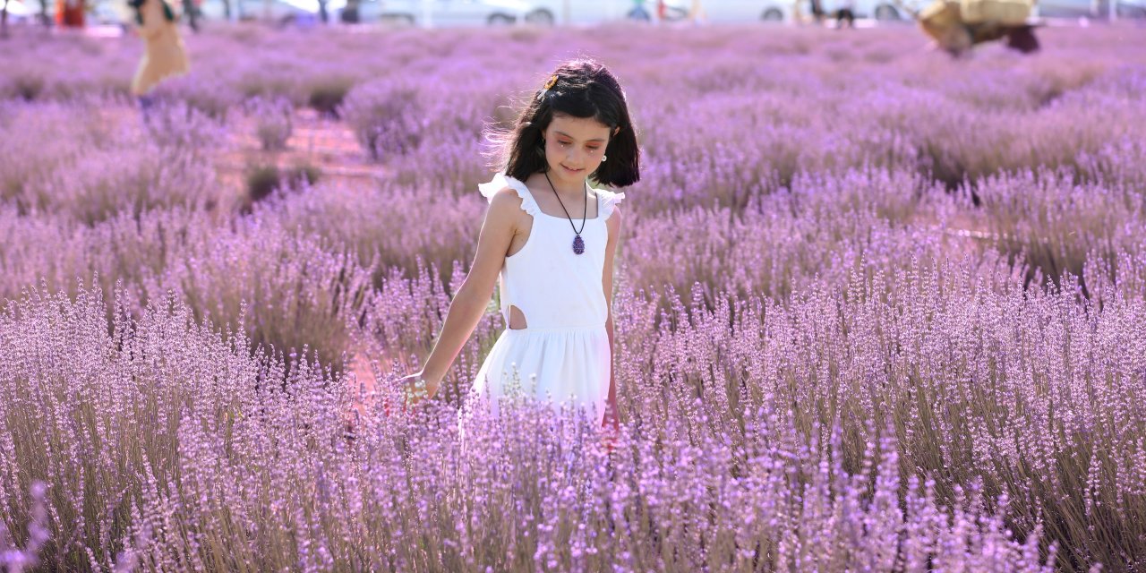 ‘Karatay Lavanta Günleri’ renkli görüntülere sahne oldu