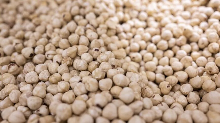 Düzce'den yılın ilk yarısında AB ülkelerine 5 bin 981 ton fındık ihracatı