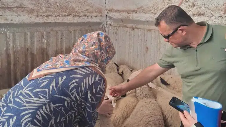 Selçuklu'da hayvan sağlığı için saha denetimi yapıldı
