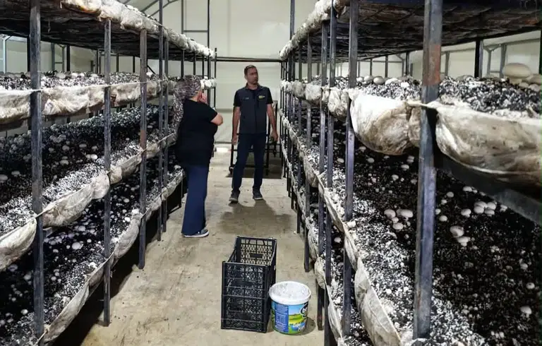 Konya Büyükşehir’den çiftçilere sahada teknik destek çalışması