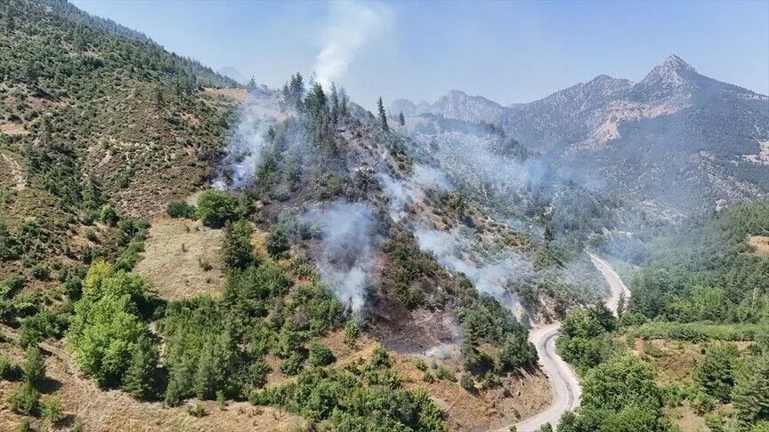 Adana'nın Feke ilçesinde orman yangını çıktı