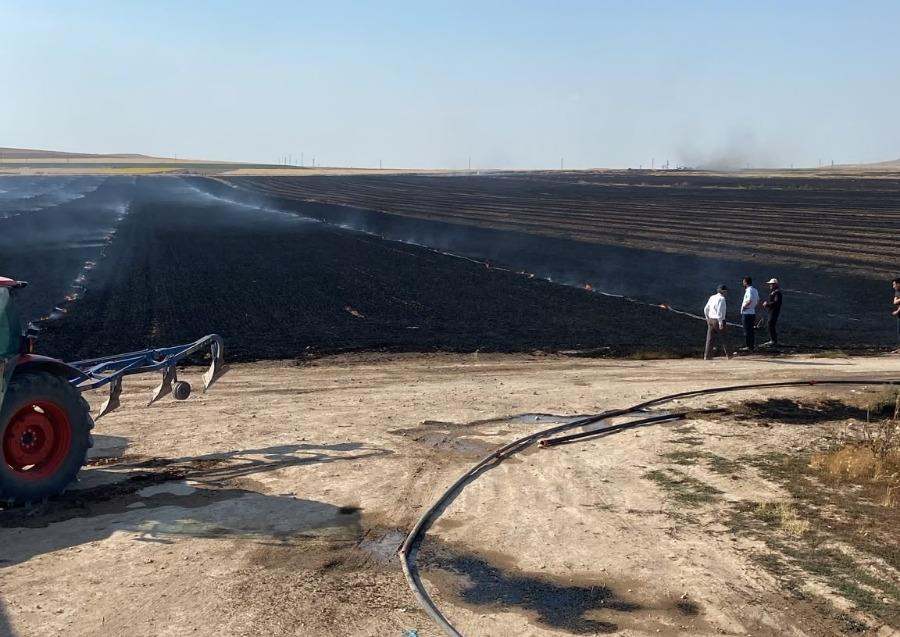 Konya'da trafo kaynaklı yangın 5 çiftçinin ekili alanını küle çevirdi