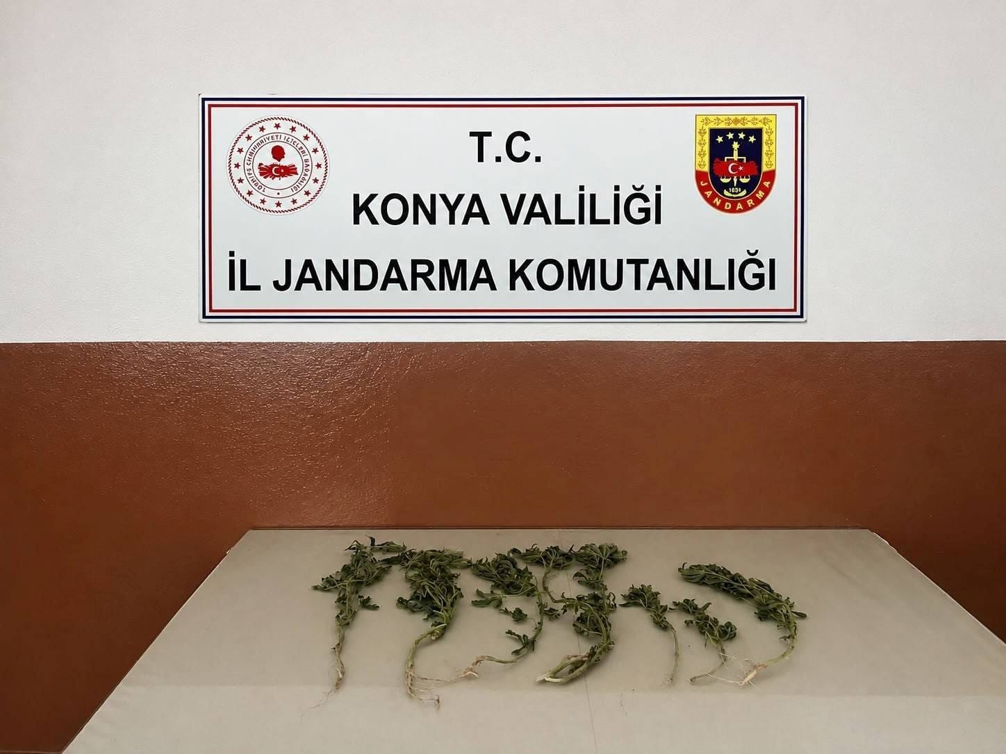 Konya Jandarması'ndan uyuşturucu operasyonu: 25 gözaltı, 5 tutuklama