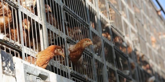 Herkesin çok yakından tanıdığı 51 yıllık Konyalı firma iflas etti