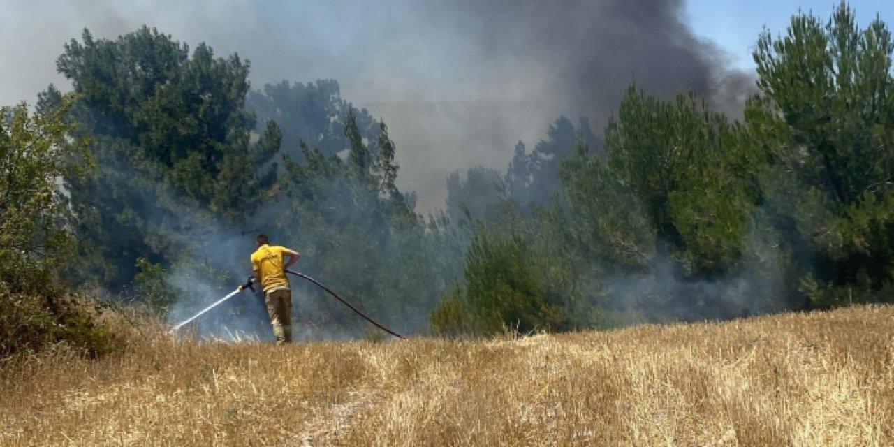 Balıkesir'de orman yangını