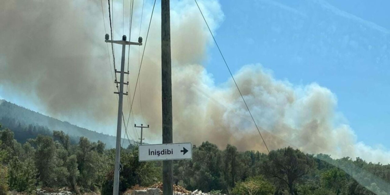Muğla'da orman yangını