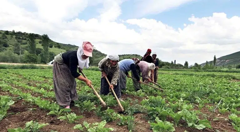 Konya Büyükşehir'den hibe desteği: Başvurular devam ediyor!