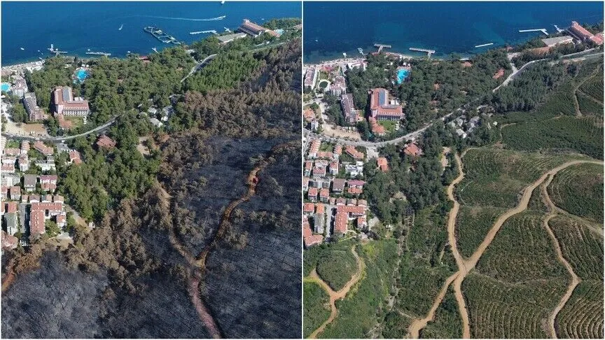 Muğla'da 2021'in küllerinden doğan ormanlar yeşil örtüsüne kavuştu