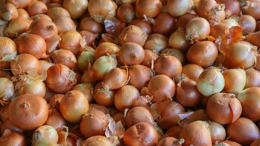 Kuru soğan ve yağlık ayçiçeği tohumu ithalatında gümrük vergilerine düzenleme