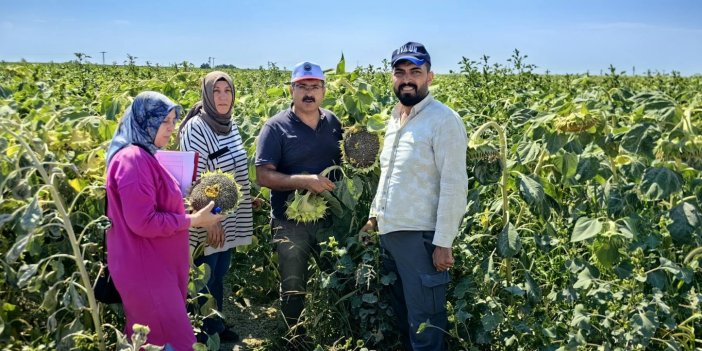 Konya'da tarım alanlarında inceleme