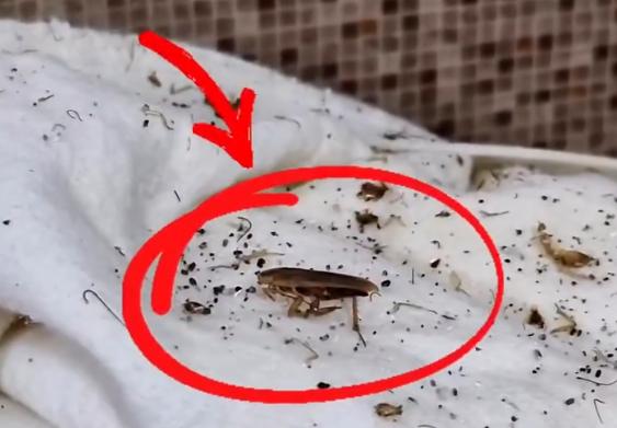Konya’da denetimde şoke eden görüntü! İşletme mühürlendi