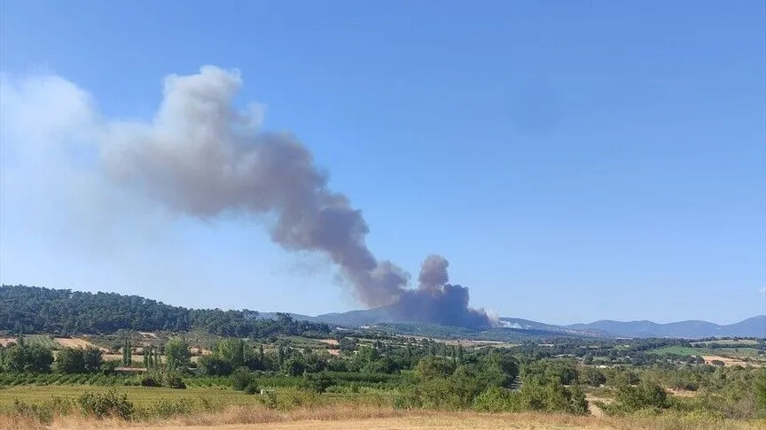 Çanakkale'de çıkan orman yangınına müdahale ediliyor