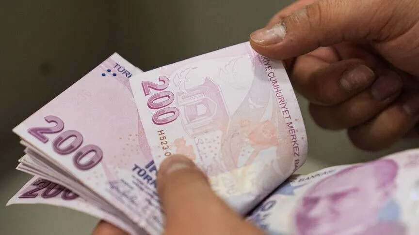 Engelli ve eski hükümlü vatandaşlar için hibe desteği başvuruları başladı