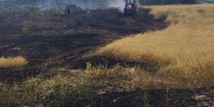 İhmal mi sabotaj mı? Konya'da ekili alan kül oldu!