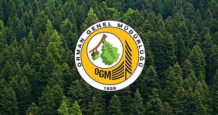Orman Genel Müdürlüğü Konya'dan 1 kişiyi istihdam edecek