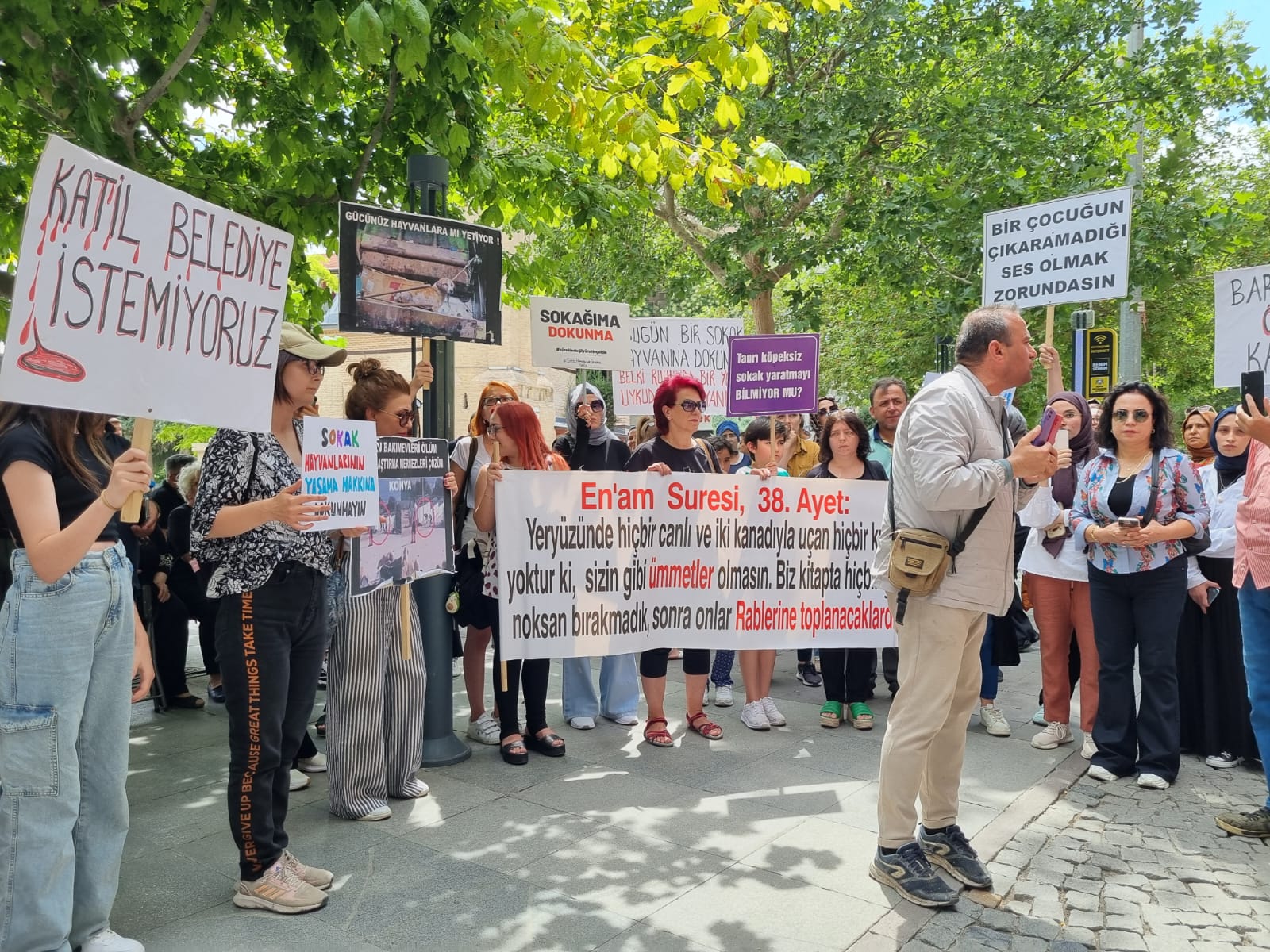 Konya'da sokak hayvanları lobisi devreye girdi