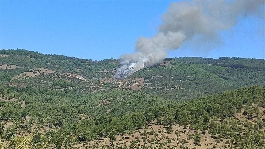 Bursa'da çıkan orman yangınına müdahale ediliyor