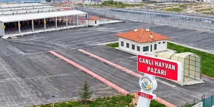 Karapınar’da Canlı Hayvan Pazarı iki gün kapalı olacak
