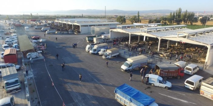 Konya'nın bu ilçesinde şap hastalığı nedeniyle hayvan pazarı kapatıldı
