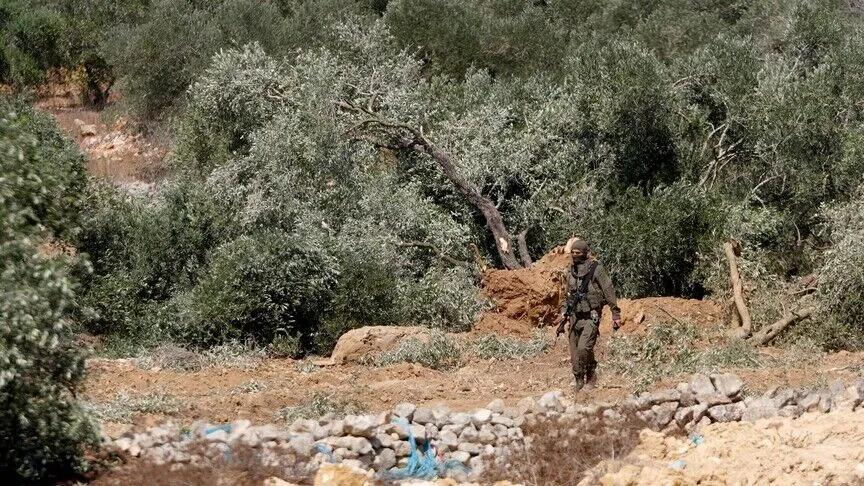 Filistin topraklarını gasbeden İsrailliler Batı Şeria'da zeytin hasadı yapan 4 çiftçiyi yaraladı