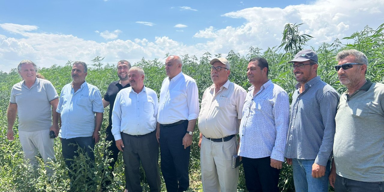 Konya'ya kenevir üretiminde sanayi tesisi müjdesi