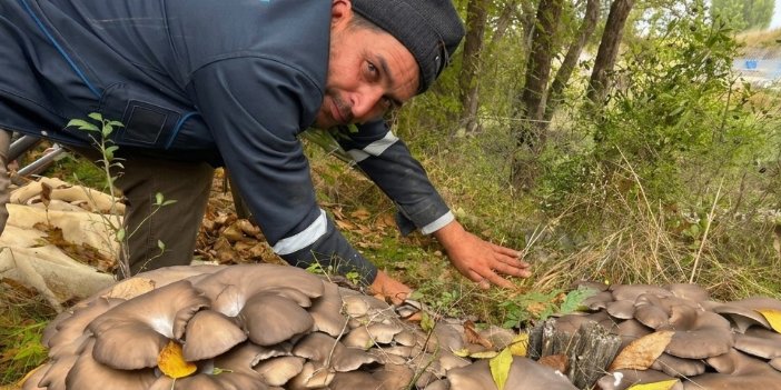 Konya’da bir bahçede ortaya çıktı! Görenler şaşkınlığını gizleyemedi