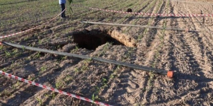 Mısır ekili tarlada obruk tedirgin etti! Konya'dan sonra şimdi de...