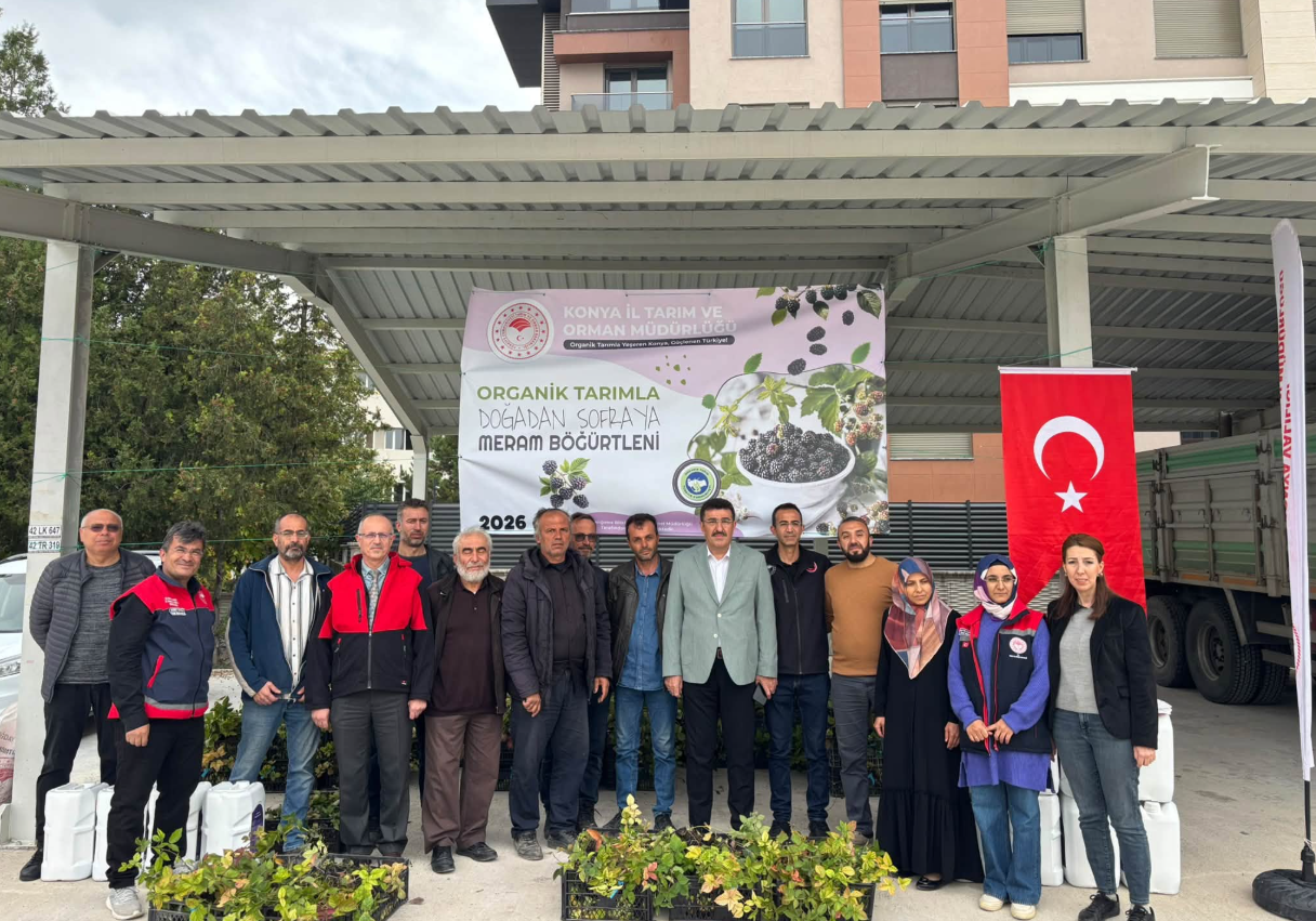 Meram’da Organik Böğürtlen Üretimi Destekleniyor