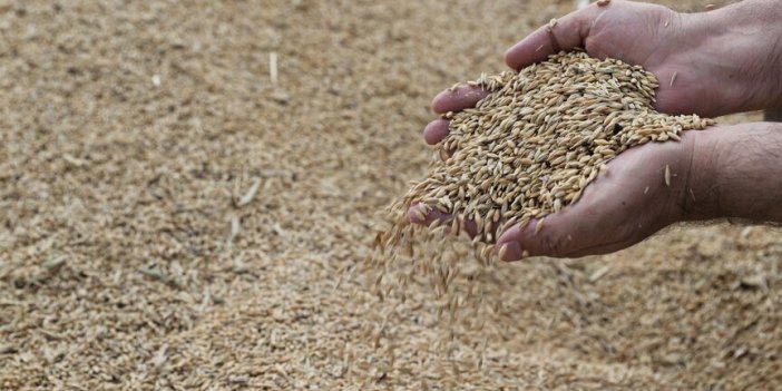 TİGEM’den 252 Milyon Liralık Buğday ve Arpa İhalesi
