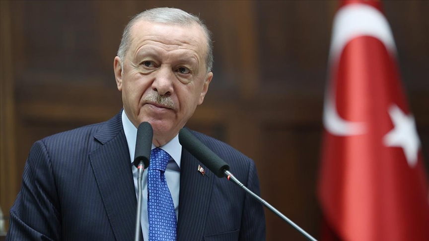 Erdoğan: Hayvanseverlerden başıboş köpekleri sahiplenme kampanyamıza destek bekliyoruz