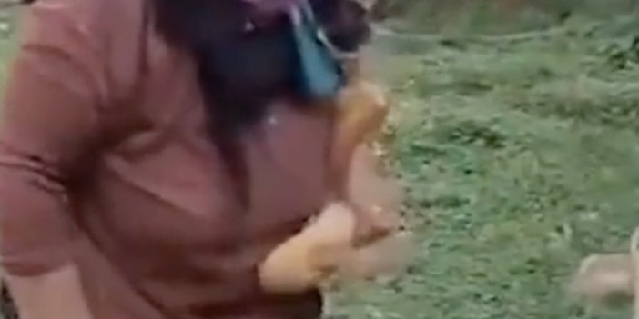 Konya'da sokak köpeklerini besleyen teyzeden tehdit gibi video: Ya ölürüm...
