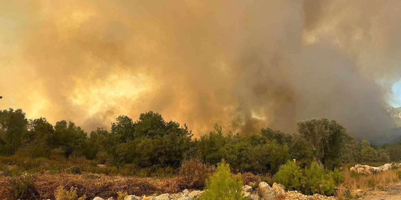 Antalya'da ormanlık alanda yangın