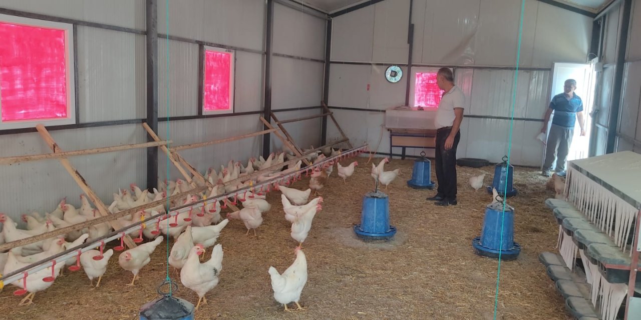 Seydişehir Suğla MTAL'de 300 tavuk kapasiteli kümes kuruldu