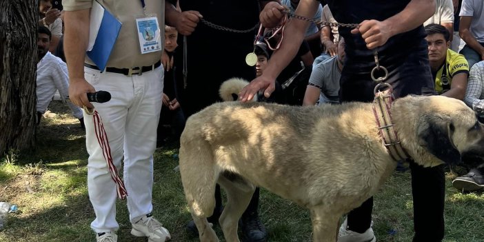 Konya'da ilginç etkinlik! Belediye başkanı da katıldı
