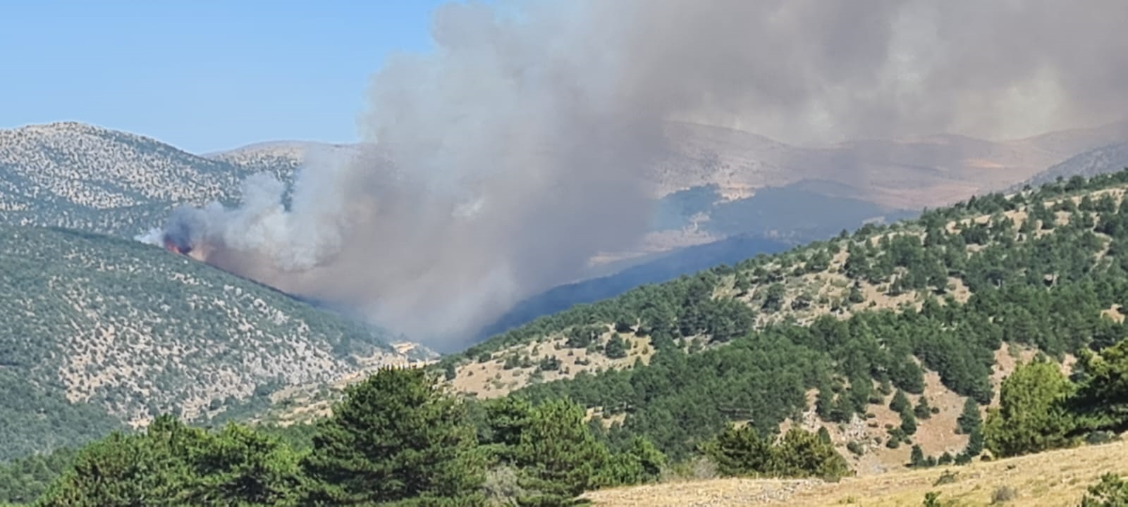 Konya'da orman yangını! Belediye başkanından ilk açıklama