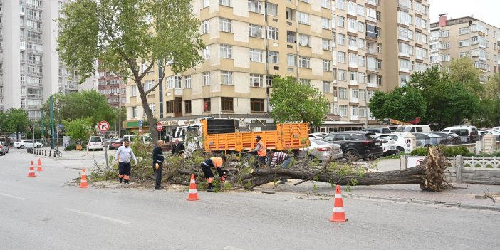 2021'de En Çok Ziyaret Edilen Mekanlardan Oldu