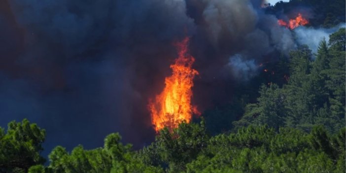 Alevler bir ile daha sıçradı! Ciğerlerimiz yanıyor