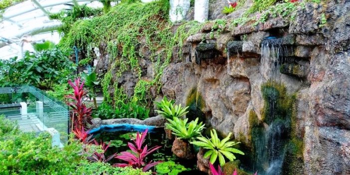 60 farklı türde aylık 20 bin canlı kelebek uçuşun gerçekleştiği Konya Tropikal Kelebek Bahçesi gezenleri hayran bırakıyor