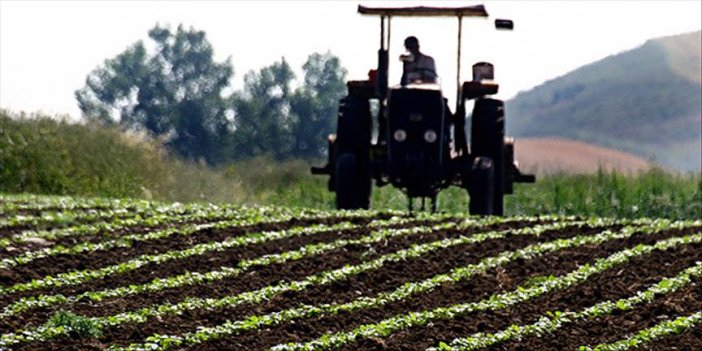 Ünlü tarım devi  konkordato ilan etti