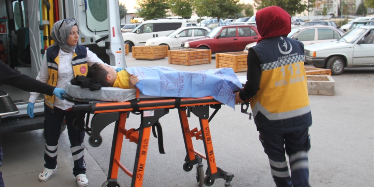 Konya'da sokak köpeği 6 yaşındaki çocuğa saldırdı