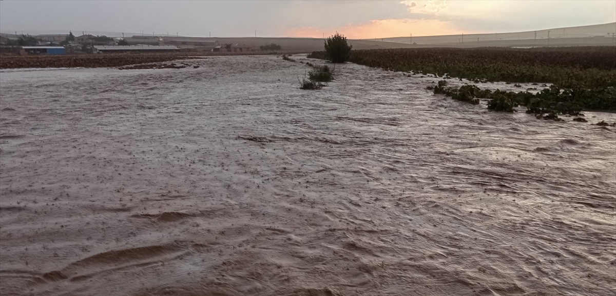 Konya'nın bu ilçesinde tarım arazilerini su bastı!